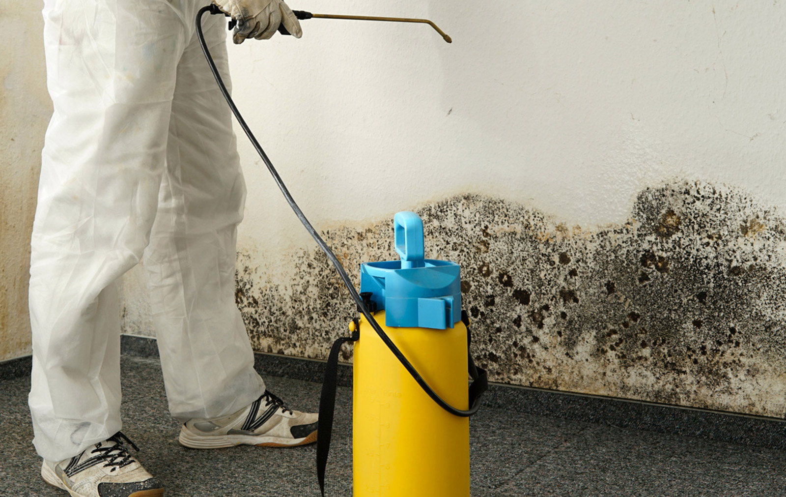 Les risques sanitaires sont réels dans le cas d'habitation Diogène, il est donc indispensable de faire appel à des professionnels pour débarrasser et nettoyer la maison.